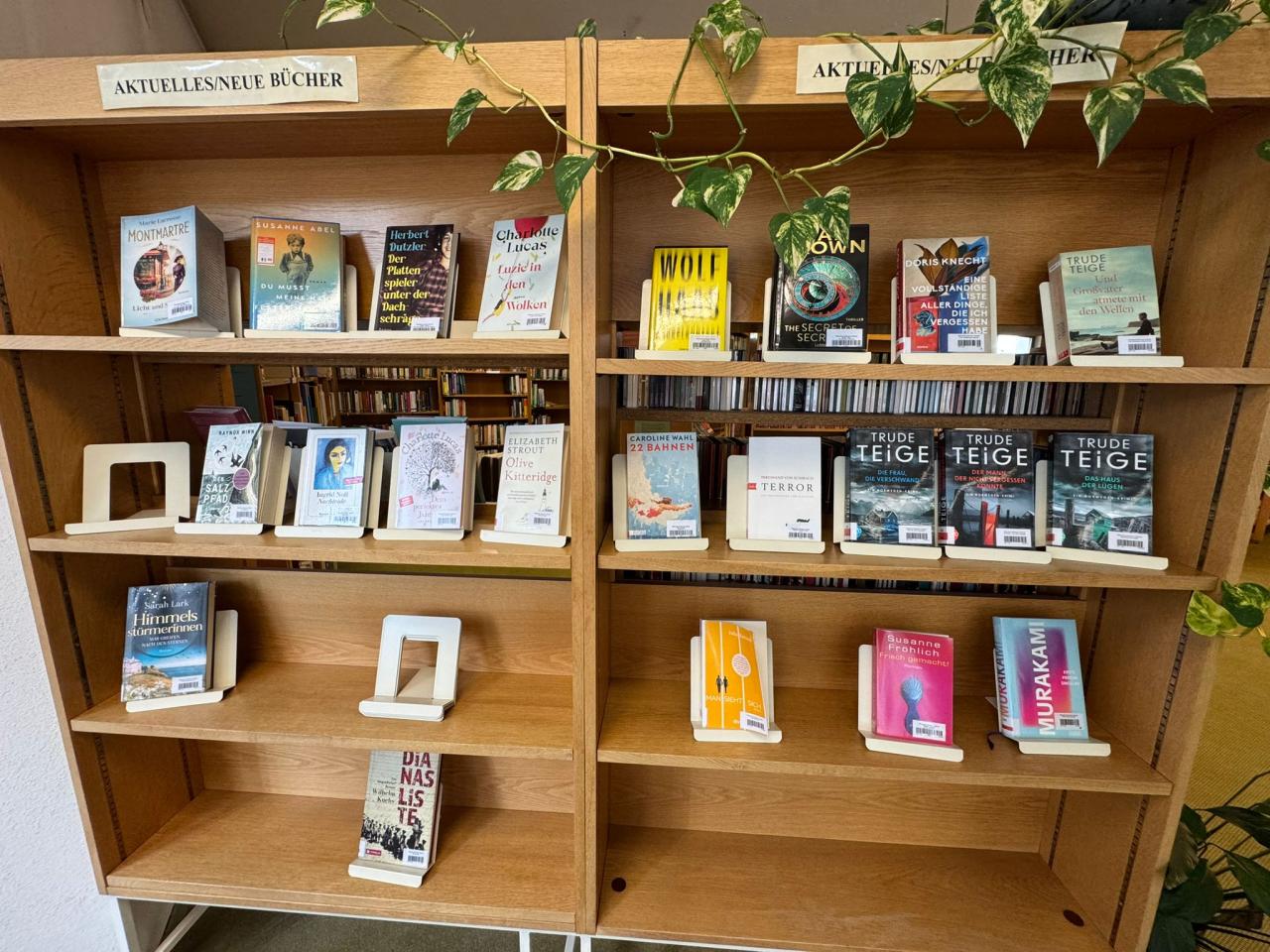 Buchregal mit Neuerscheinungen