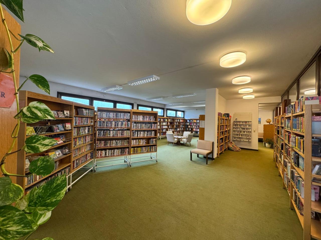 Buchregal mit DVDs und CDs