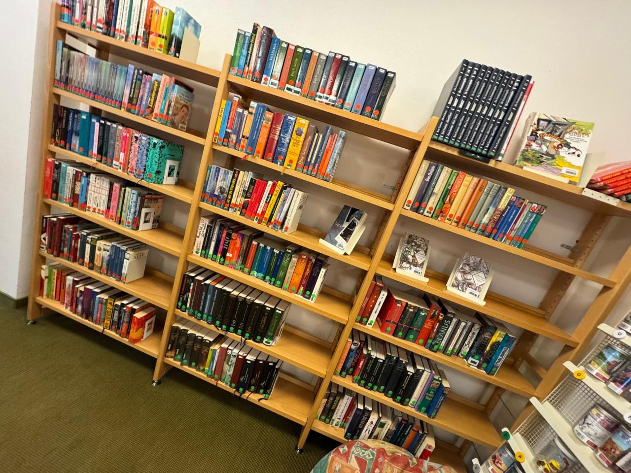 Buchregal mit Jugendbüchern